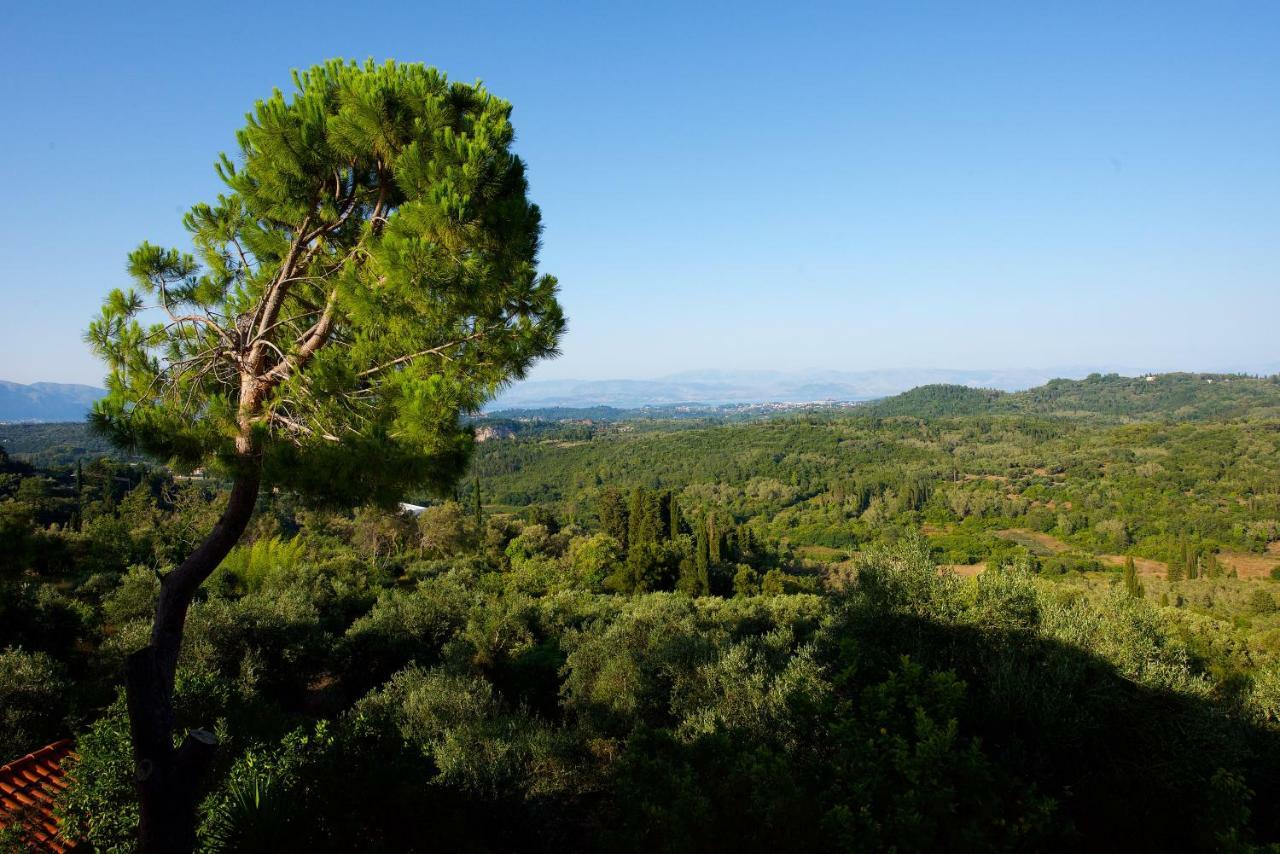 Aurora Apartment Corfu เปเลคาส ภายนอก รูปภาพ